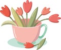 Spring floral tulips. Tulips Bouquet in a pink tea cup vector isolated object Royalty Free Stock Photo